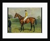 Ormonde, Winner of the 1886 Derby, 1886 by Emil Adam