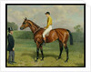 Ormonde, Winner of the 1886 Derby, 1886 by Emil Adam