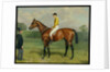 Ormonde, Winner of the 1886 Derby, 1886 by Emil Adam