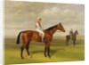 Isinglas, Winner of the 1893 Derby, 1893 by Emil Adam