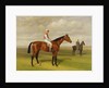 Isinglas, Winner of the 1893 Derby, 1893 by Emil Adam