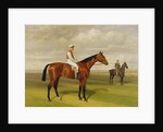 Isinglas, Winner of the 1893 Derby, 1893 by Emil Adam