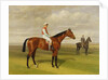 Isinglas, Winner of the 1893 Derby, 1893 by Emil Adam