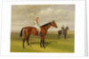Isinglas, Winner of the 1893 Derby, 1893 by Emil Adam
