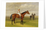 Isinglas, Winner of the 1893 Derby, 1893 by Emil Adam