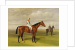 Isinglas, Winner of the 1893 Derby, 1893 by Emil Adam