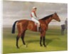 Isinglass, Winner of the 1893 Derby, 1893 by Emil Adam