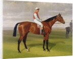 Isinglass, Winner of the 1893 Derby, 1893 by Emil Adam