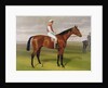 Isinglass, Winner of the 1893 Derby, 1893 by Emil Adam