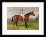 Isinglass, Winner of the 1893 Derby, 1893 by Emil Adam