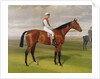 Isinglass, Winner of the 1893 Derby, 1893 by Emil Adam