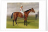 Isinglass, Winner of the 1893 Derby, 1893 by Emil Adam