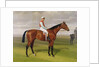 Isinglass, Winner of the 1893 Derby, 1893 by Emil Adam