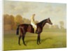 Ladas, Winner of the 1894 Derby, 1894 by Emil Adam