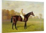 Ladas, Winner of the 1894 Derby, 1894 by Emil Adam