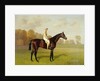 Ladas, Winner of the 1894 Derby, 1894 by Emil Adam