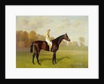 Ladas, Winner of the 1894 Derby, 1894 by Emil Adam