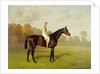 Ladas, Winner of the 1894 Derby, 1894 by Emil Adam