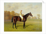 Ladas, Winner of the 1894 Derby, 1894 by Emil Adam