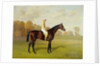 Ladas, Winner of the 1894 Derby, 1894 by Emil Adam