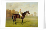 Ladas, Winner of the 1894 Derby, 1894 by Emil Adam