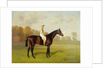 Ladas, Winner of the 1894 Derby, 1894 by Emil Adam