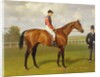 Persimmon, Winner of the 1896 Derby, 1896 by Emil Adam