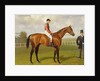 Persimmon, Winner of the 1896 Derby, 1896 by Emil Adam