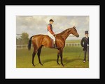 Persimmon, Winner of the 1896 Derby, 1896 by Emil Adam