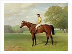 Flying Fox, Winner of the 1899 Derby, 1899 by Emil Adam