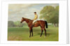 Flying Fox, Winner of the 1899 Derby, 1899 by Emil Adam