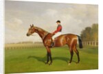 Diamond Jubilee, Winner of the 1900 Derby, 1900 by Emil Adam