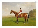 Diamond Jubilee, Winner of the 1900 Derby, 1900 by Emil Adam