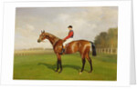 Diamond Jubilee, Winner of the 1900 Derby, 1900 by Emil Adam