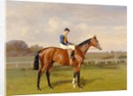 Spearmint, Winner of the 1906 Derby, 1906 by Emil Adam