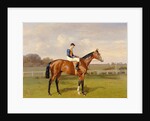 Spearmint, Winner of the 1906 Derby, 1906 by Emil Adam
