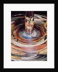 Anamorphic double portrait of King Frederick III and his Queen by Gert Dittmers