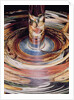 Anamorphic double portrait of King Frederick III and his Queen by Gert Dittmers