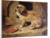 There's No Place Like Home by Edwin Landseer