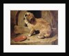 There's No Place Like Home by Edwin Landseer