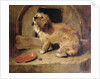 There's No Place Like Home by Edwin Landseer