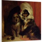 Comical Dogs, 1836 by Edwin Landseer