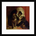 Comical Dogs, 1836 by Edwin Landseer