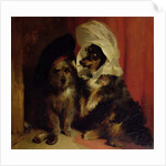 Comical Dogs, 1836 by Edwin Landseer
