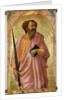 St. Paul, 1426 by Tommaso Masaccio