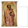 St. Paul, 1426 by Tommaso Masaccio