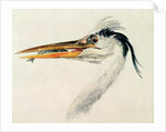 Heron with a fish by Joseph Mallord William Turner