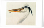 Heron with a fish by Joseph Mallord William Turner