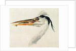 Heron with a fish by Joseph Mallord William Turner