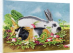 Rabbit and Guinea Pig, 1998 by E.B. Watts